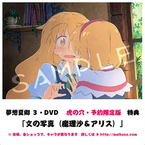 東方夢想夏郷 3 Dvd ショップ予約・限定版 舞風 Maikaze時音 Tokine 東方project 同人グッズのとらの