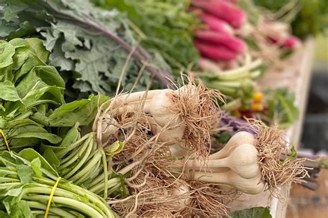 Burns Farm Sullivan County Farmers Markets