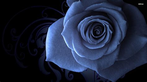 Black And Blue Rose Wallpapers Top Free Black And Blue Rose