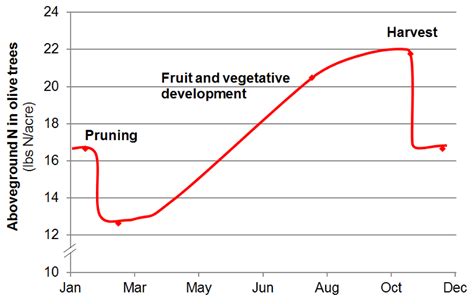 CDFA FREP CA Fertilization Guidelines Olive Nitrogen Uptake And