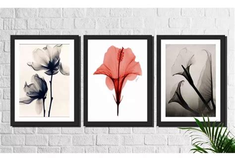 Kit 3 Quadros Decorativos Flores Minimalistas Alaranjada Cor Colorido Mercadolivre