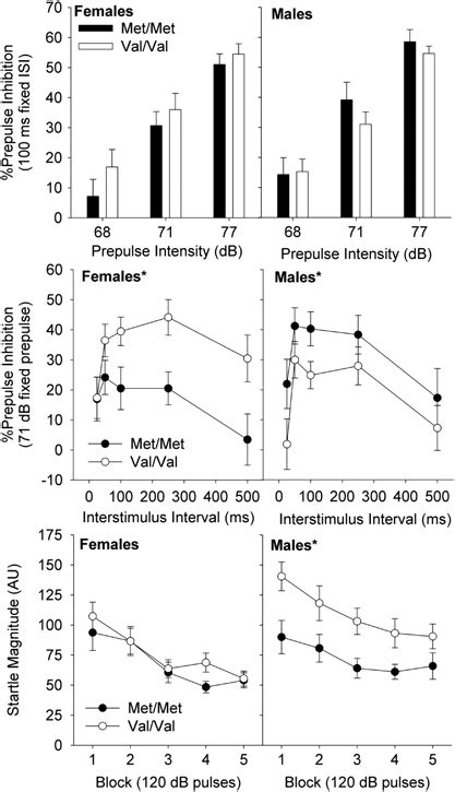 Comt Effects On Ppi Depend Upon Sex And Stimulus Parameters Upper