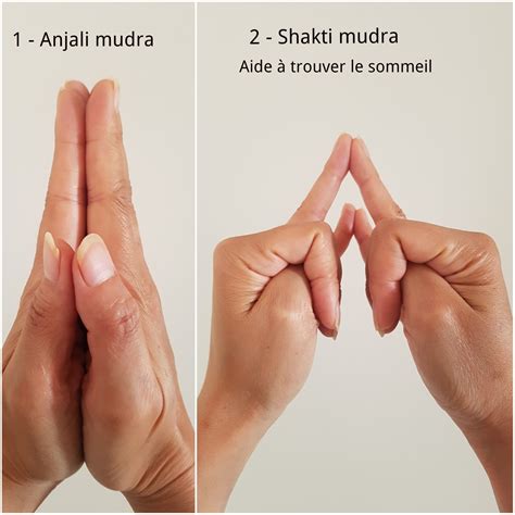 Les mudras et leurs pouvoirs de guérison Aline yoga