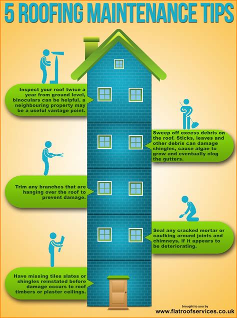 Roof Maintenance Tips Infographic Roof Maintenance Roof Restoration