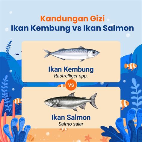 Kandungan Gizi Ikan Kembung Vs Ikan Salmon Kombiid