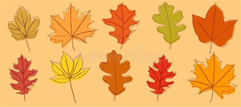 A Set Of Autumn Leaves Drawn In A Continuous Line Autumn Leaf In One