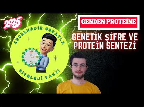 Genden Proteine Genetik Ifre Ve Protein Sentezi S N F Ayt