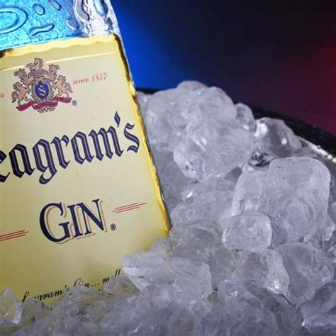 8 Best Seagrams Gin Cocktails to Try