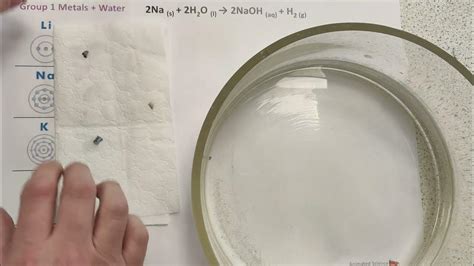 Group 1 Alkali Metals Reaction With Water Lithium Sodium Potassium Youtube