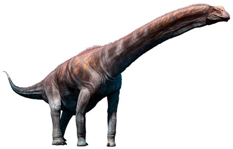 Argentinosaurus Stock Vektor Art Und Mehr Bilder Von Argentinosaurus Argentinosaurus