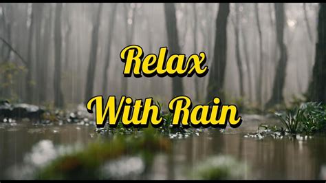 Rainfall Symphony Fall Asleep Faster With Calming Rain Sounds Youtube