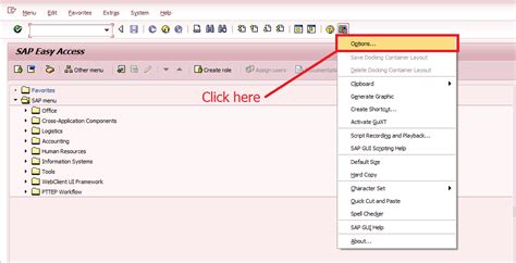 All About SAP How To Change Font In SAP