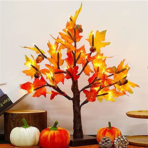 10 Best Fall Trees To Light Up Your Yard