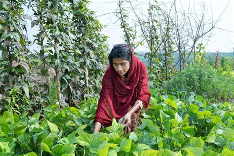 The women creating a sustainable future in Bangladesh