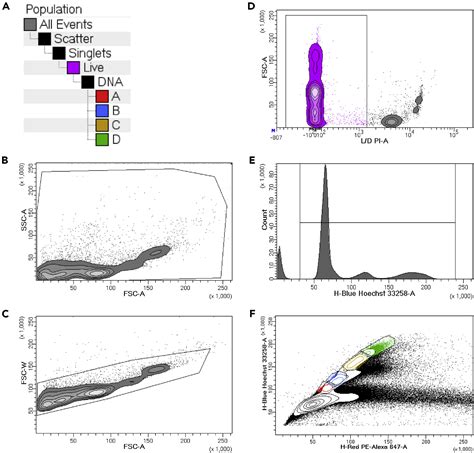 Cell Press Star Protocols