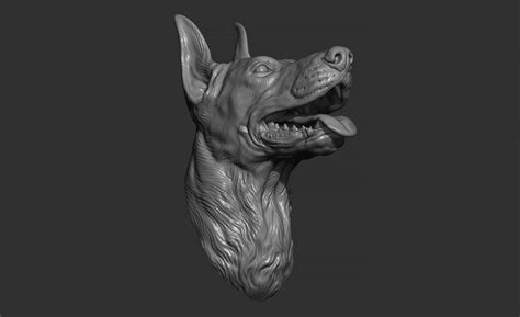 ArtStation - Doberman head | Resources