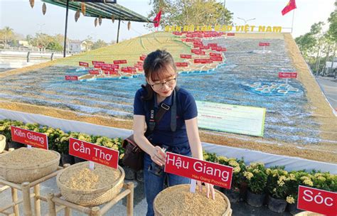 Triển Lãm Con đường Lúa Gạo Việt Nam Hành Trình Ngàn Năm Lúa Gạo Việt