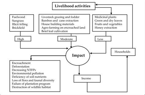 Schematic Diagram Of Livelihood Activities And Impacts Download