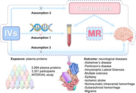 Identifying Suitable Targets For Alzheimers Disease And Other Eight