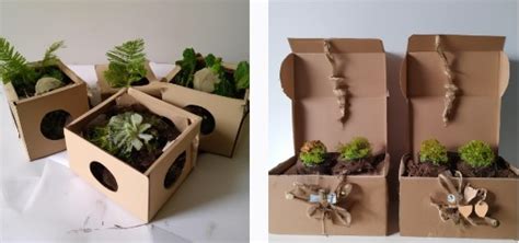 Cajas Para Kokedamas Top 1️⃣ ️ Plantas Y Flores Cajas Para EnvÍos