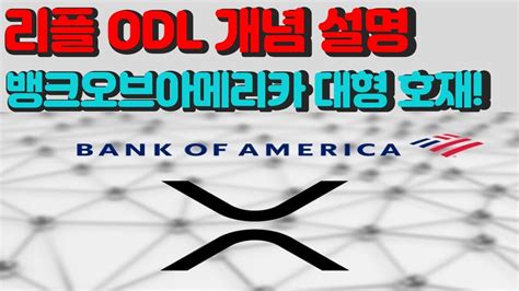 리플 Odl이란 뱅크오브아메리카 리플 파트너 공식 추가 Xrp 소송 승패와 상관없이 폭등 가능성 래우워크 Youtube