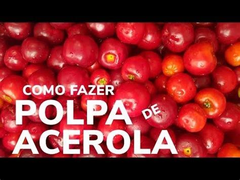 POLPA DE ACEROLA SAIBA COMO FAZER SUCO DA FRUTA ACEROLA YouTube