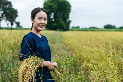 11 Arti Mimpi Seputar Sawah Menurut Primbon Jawa Bisa Jadi Simbol