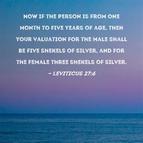 The Age 27 8