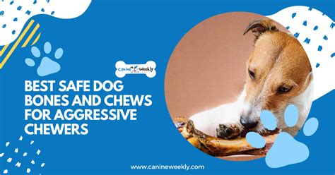 5 Best Safe Dog Bones And Chews For Aggressive Chewers 2024