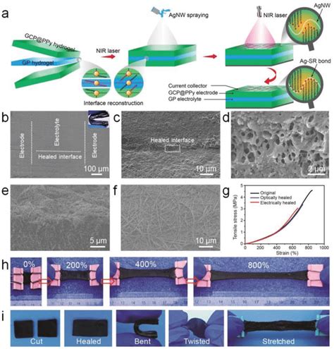 Assembly Of Stretchable Healable Supercapacitor Device A Schematic