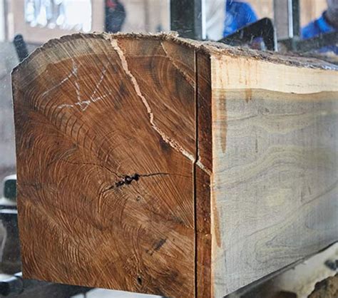 Top Quality Afromosia Wood For Sale At Wholesale Price