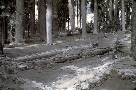 Ashfall Legacy | Mount St. Helens Science and Learning Center