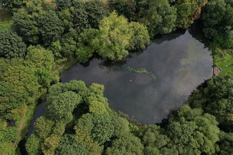 Biodiversity Net Gain Nature Greater Manchester