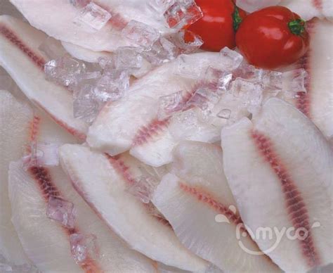 Aico Seafoods China Seafood Supplier Frozen