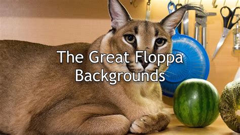 The Great Floppa Backgrounds By Mister Payday 2 Mods Modworkshop