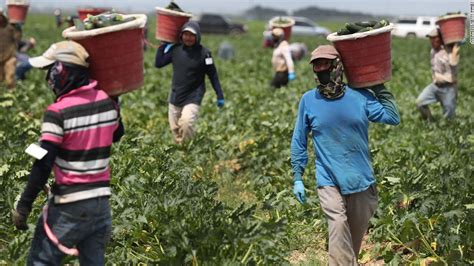 Farmworkers Are Facing Their Own Coronavirus Crisis Cnn