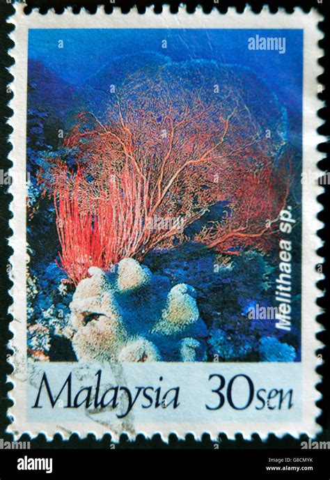 Malaysia Circa A Stamp Printed In Malaysia Shows Melithaea Sp