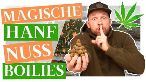 Boilies Zum Selber Machen Magische Hanf Nuss Boilies Selber Rollen