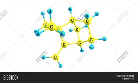 Camphene Molecular Image & Photo (Free Trial) | Bigstock