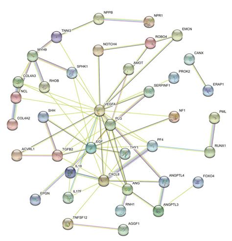 The Expression Of Angiogenesis Related Genes In Brca And The