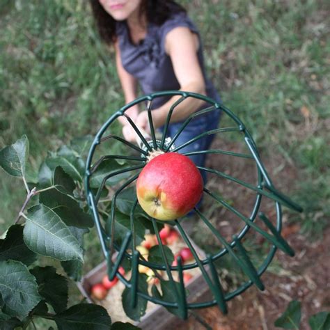 Apple Picker Harrod Horticultural Uk