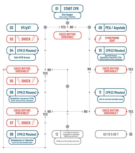 Promed Certifications Algorithms Adult Cardiac Arrest Acls Algorithm