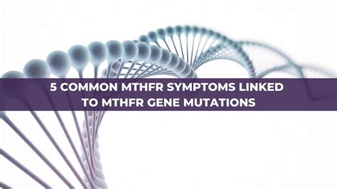 5 Common Mthfr Symptoms And How To Manage Your Gene Mutation Mthfr