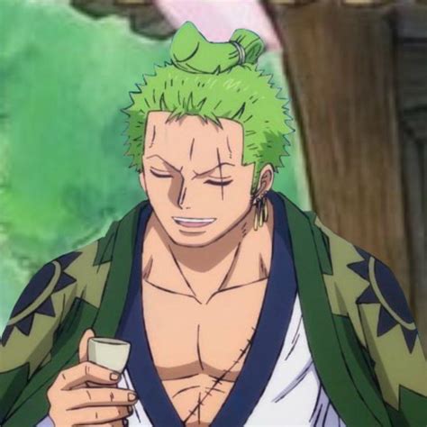 Zoro One Piece One Piece Anime 0ne Piece Selfie Poses Instagram