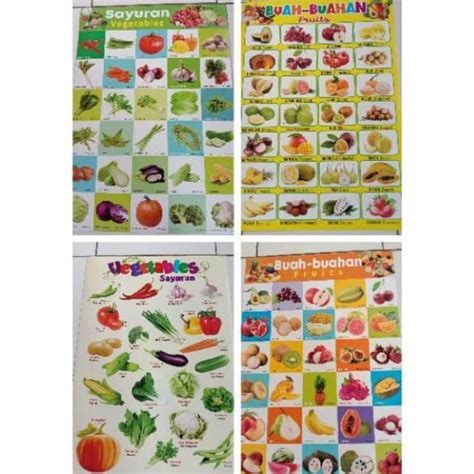 Jual Poster edukasi / Buah Buahan / Sayuran | Shopee Indonesia