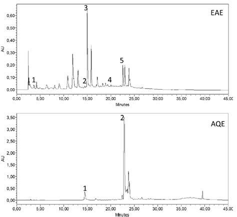 The Hplc Chromatogram Patterns Of Extracts From Of A Absinthium Eae