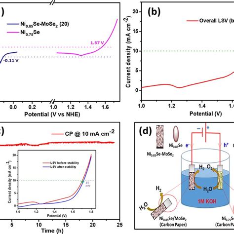 Electrocatalysis scheme showing the importance of 2D materials as ...