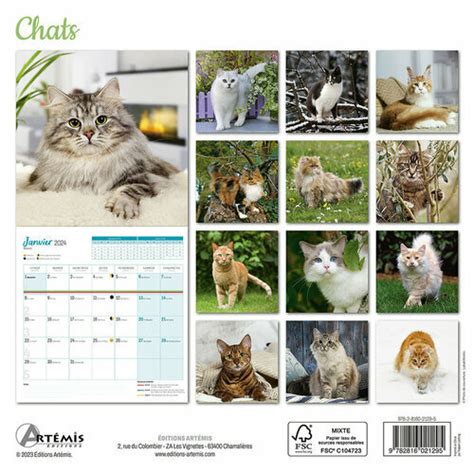 Calendrier Chat