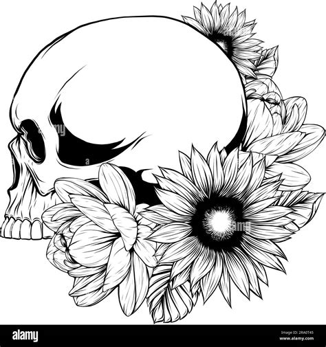 Vector Illustration Of Outline Human Skull Design Stock Vector Image