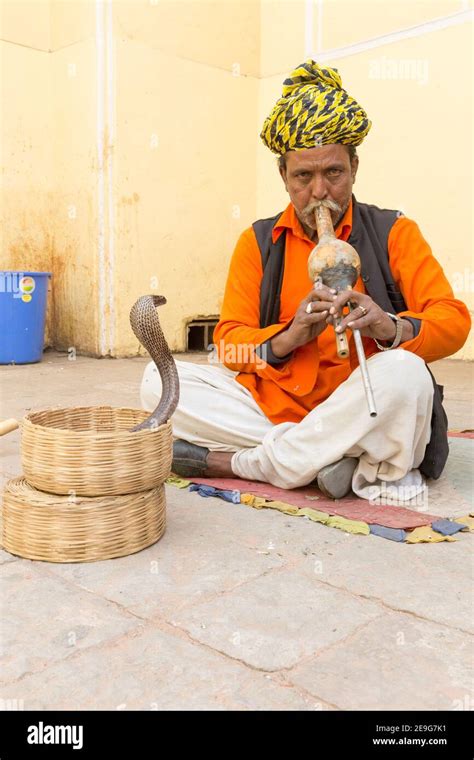 India Jaipur Snake Charmer Performing with Cobra Stock Photo - Alamy